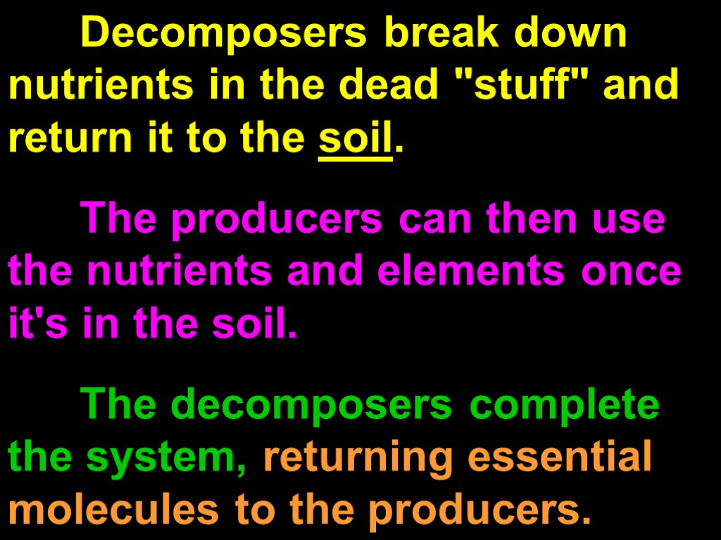Decomposers break down nutrients in the dead 